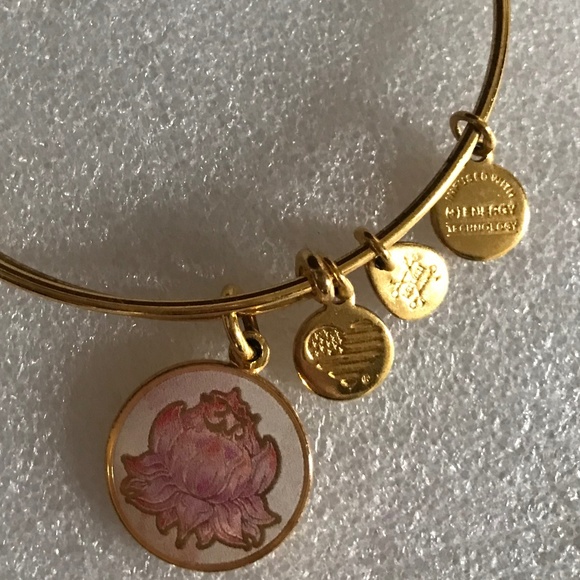Alex and Ani Expandable Wire Bracelet - Picture 3 of 12